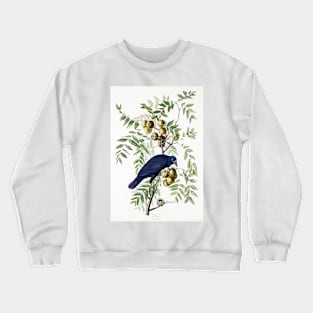 American Crow from Birds of America (1827) Crewneck Sweatshirt